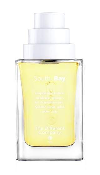 The Different Company South Bay