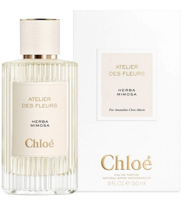 Chloe Atelier des Fleurs Herba Mimosa