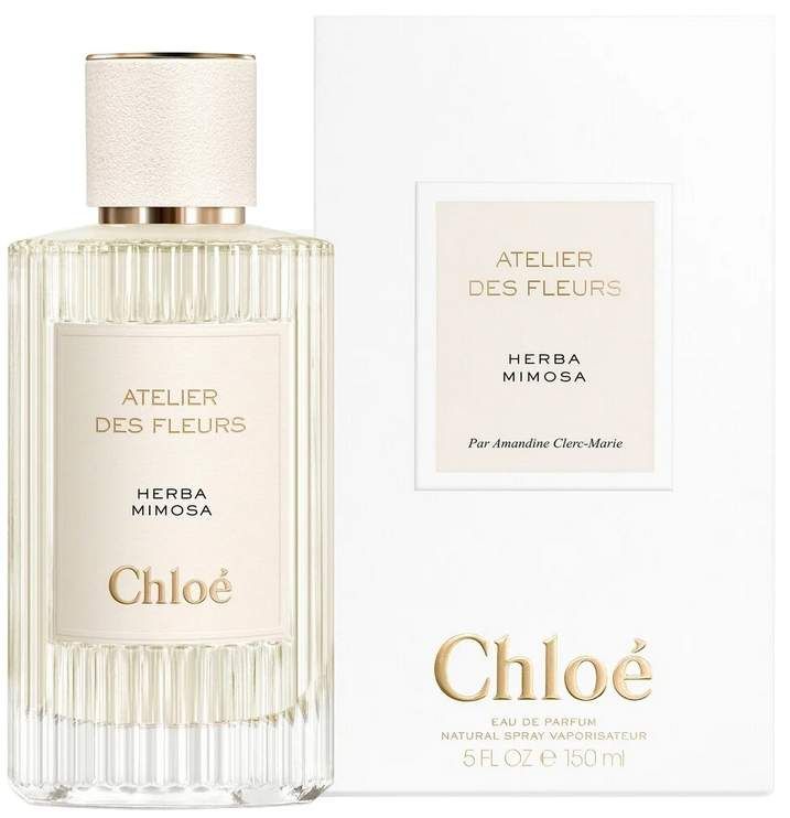 Chloe Atelier des Fleurs Herba Mimosa