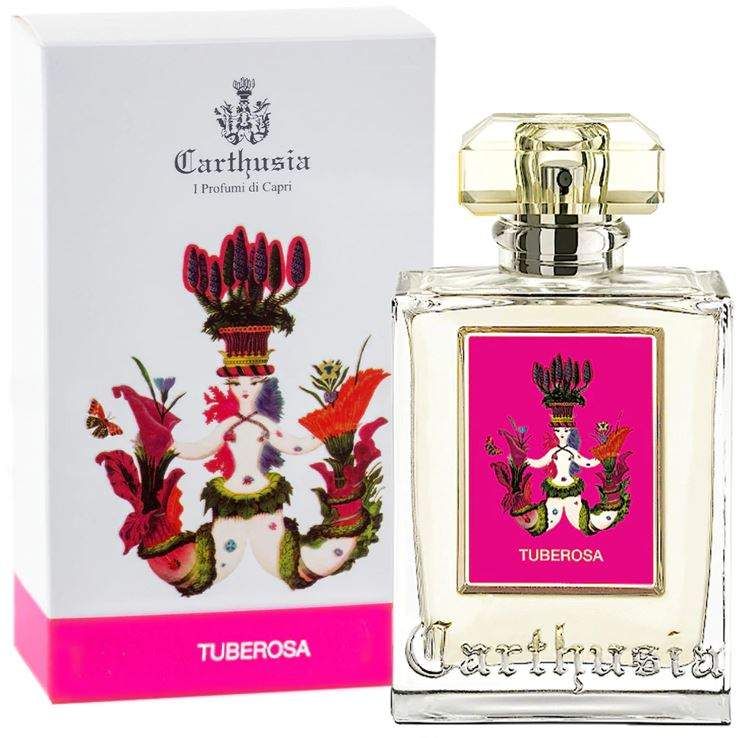 Carthusia Tuberosa