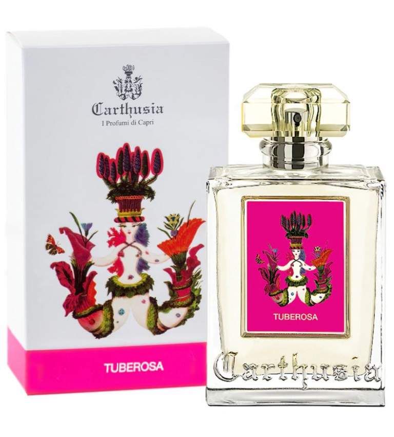 Carthusia Tuberosa